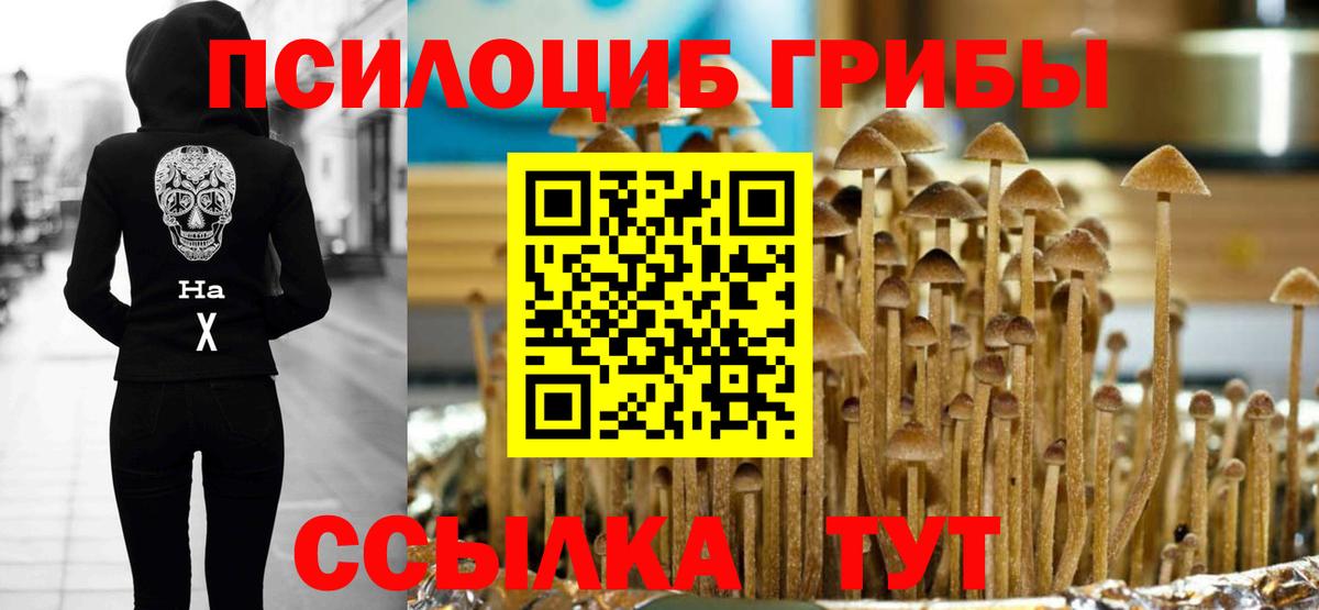 Галлюциногенные грибы прущие грибы Серов