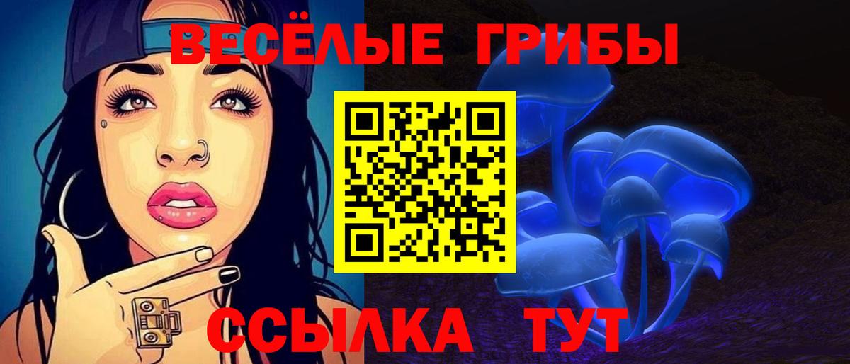 Серов  Галлюциногенные грибы ЛСД  Галлюциногенные грибы прущие грибы  Вход с VPN 