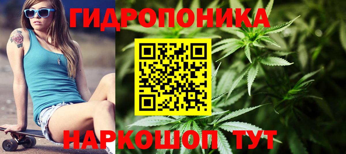 МАРИХУАНА сатива Серов